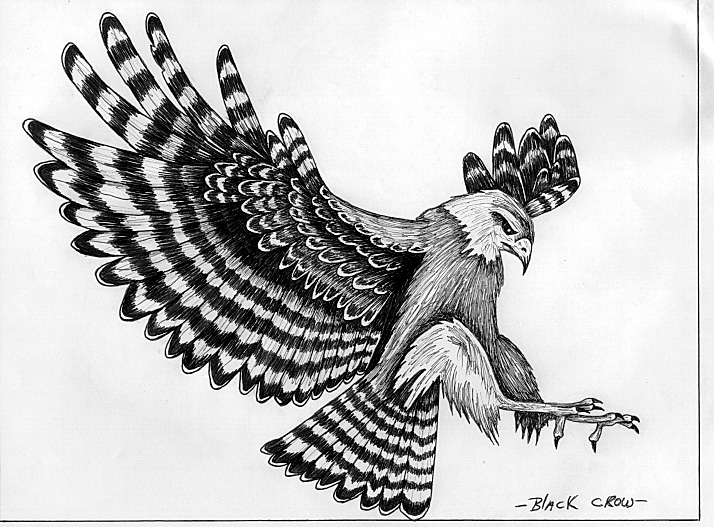 eagle landing clip art - photo #30